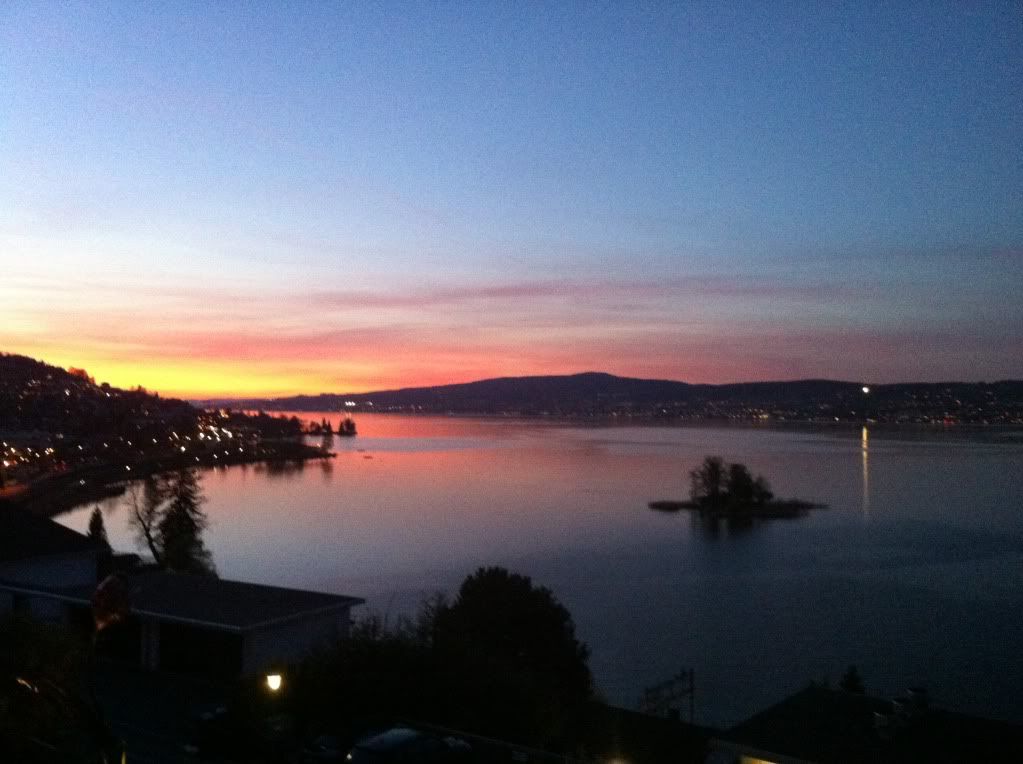 Lake Zurich in the Evening