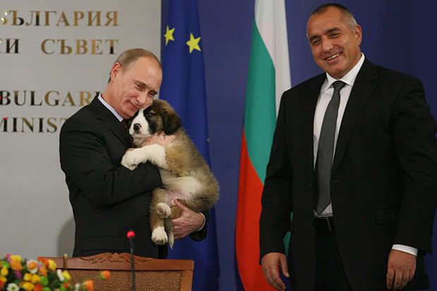 Пятилетний мальчик помог Путину назвать собаку 