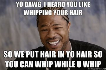 Yo-dawg-I-heard-you-like-whipping-your-hair-So-we-put-hair-in-yo-hair-so-you-can-whip-while-u-whip_zpse18rsfyx.jpg