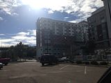 th_IMG_6583_zpsepeknz8d.jpg