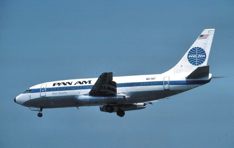 http://i850.photobucket.com/albums/ab64/raggidoll/aviation/PanAm732n67aflhr85sarah.jpg