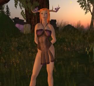 Second Life,Operation Squeegee,fashion,charity