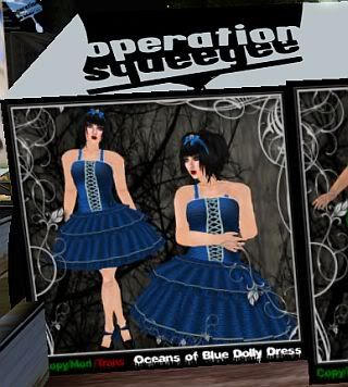 Second Life,Operation Squeegee,charity,shopping,fashion,events,virtual worlds