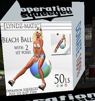 Second Life,Operation Squeegee,charity,shopping,fashion,events,virtual worlds