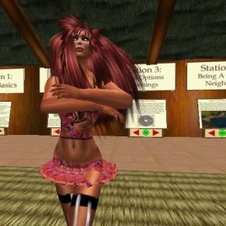 Second Life,Solace Beach,weirdness,pretend lesbians