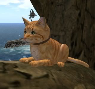 Second Life,shopping,cats