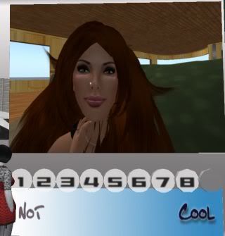 Second Life,wtf,not cool,annoying,stupid