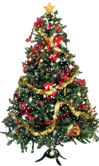 Christmas Tree Pictures, Images and Photos