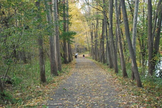 fall