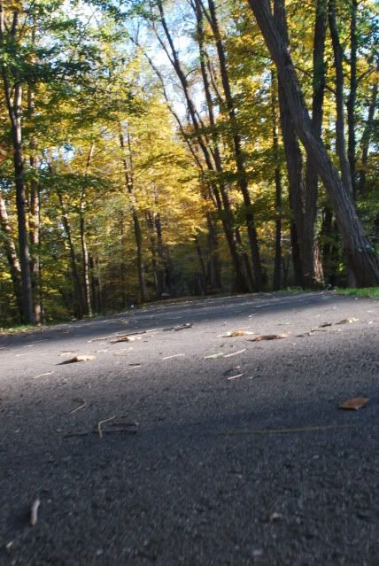 fall