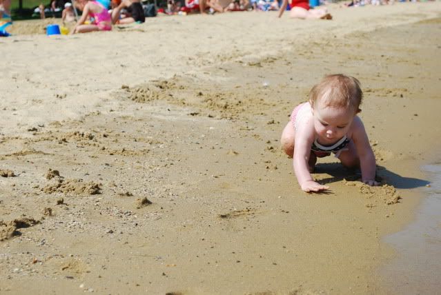 gracie,vacation,photography