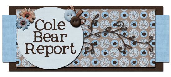 Cole Bear Report