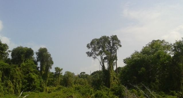 0972dc72-ed5f-45f9-855c-2f516a6c4b46_zps