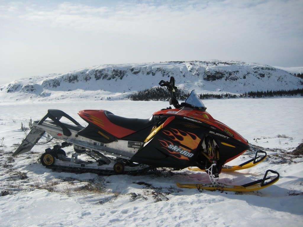 Posted Image