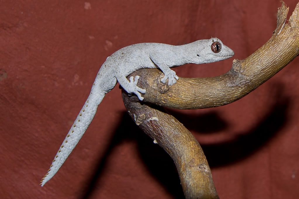 DSC_0022.jpg