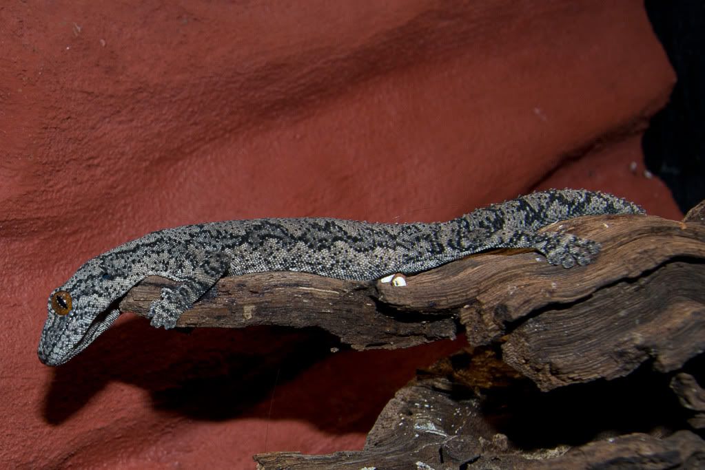 DSC_0048.jpg
