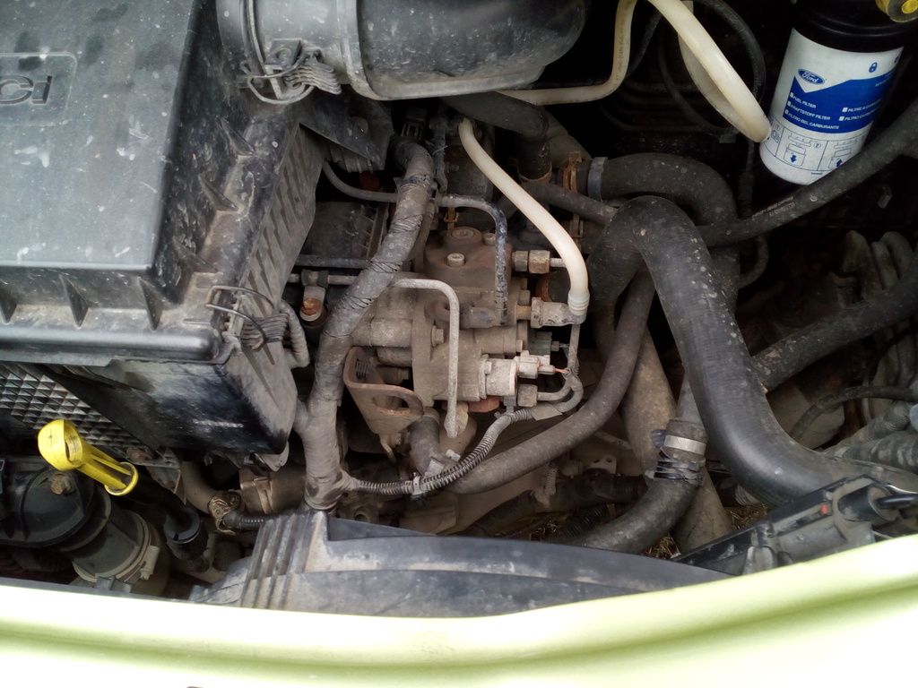 P1664 ford transit